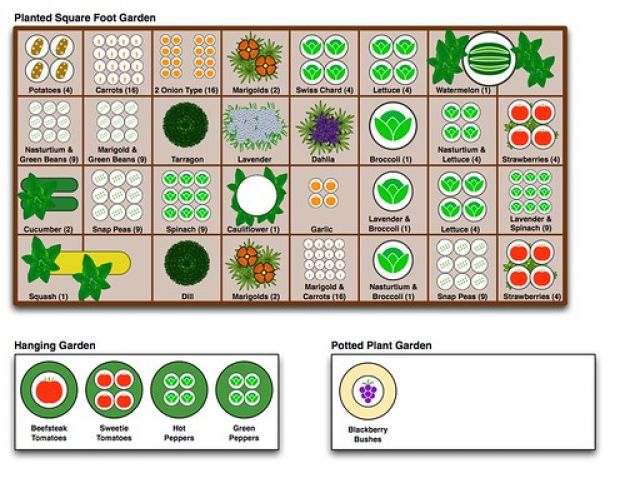 Square Foot Gardening Transition Initiativen