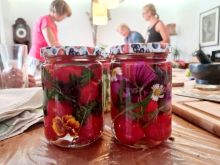 EINFACH Fermentieren