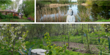 Permakultur Workshop, Aloha am See, Wusterwitz, 25.-27.04.2025