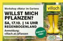 Willstmichpflanzen?