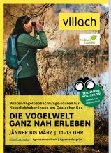 Vogelwelt am Ossiacher See