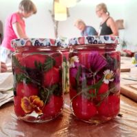 EINFACH Fermentieren