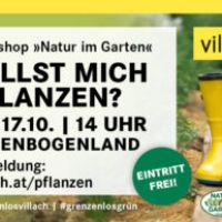 Willstmichpflanzen?